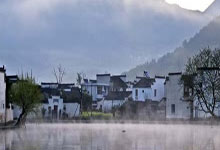 圆润茶叶，自然之选(圆润茶叶,自然之选是什么茶)